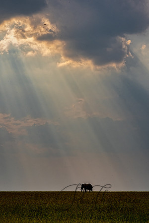 Kenya_Jul252019_5893