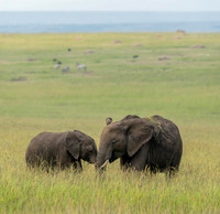 Kenya_072519_5298