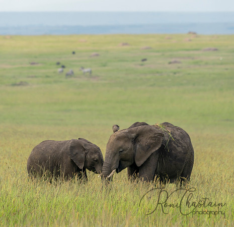 Kenya_072519_5298