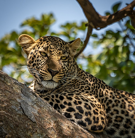 Kenya_Jul272019_4925