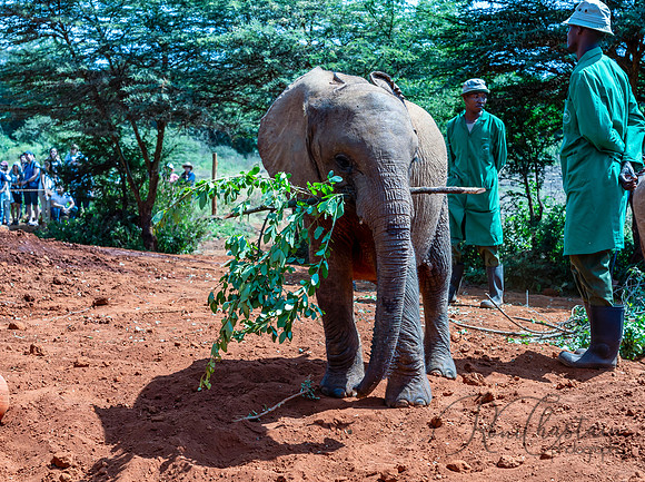 Kenya_Jul212019_3421