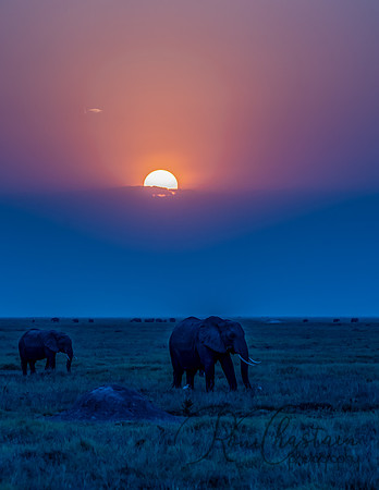 Kenya_Jul232019_1446