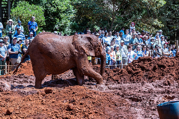 Kenya_Jul212019_3521