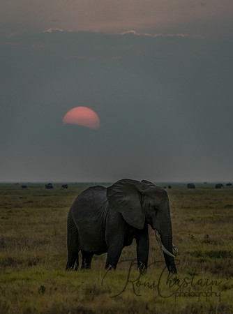 Kenya_Jul232019_1483