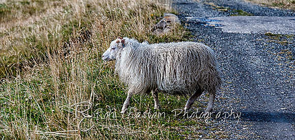 ICELAND2013_Sep212013_0496
