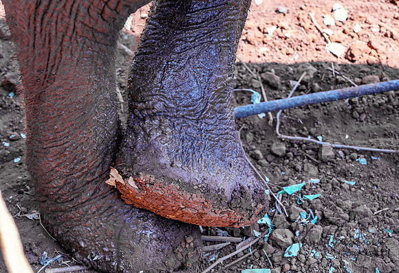 Kenya_Jul212019_3512