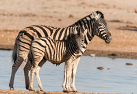 Namibia_061616_4177