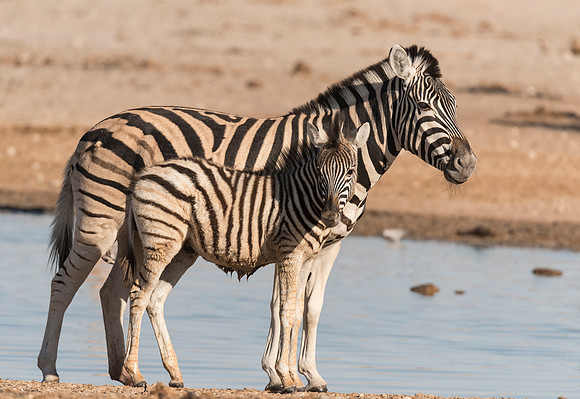 Namibia_061616_4177