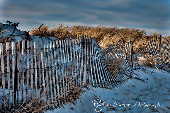 NickersonBeach_Jan292012_0020