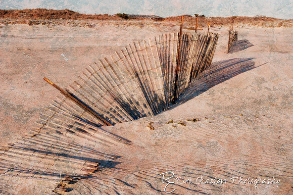 NickersonBeach_Jan292012_0044--texture