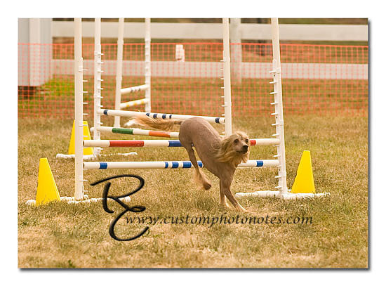 _RMC1505 copy