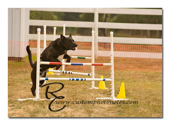 _RMC1579 copy