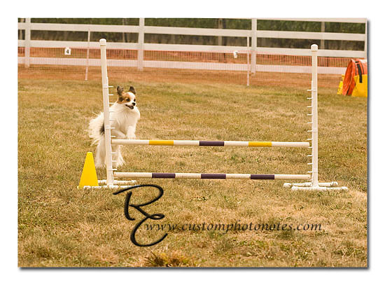 _RMC1421 copy