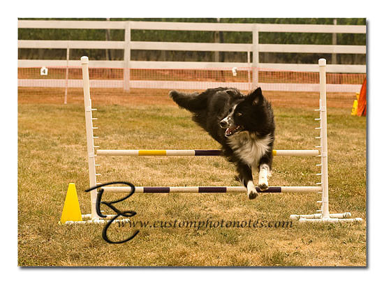 _RMC1434 copy