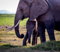 Kenya_Jul232019_0401
