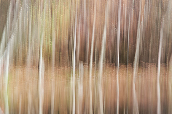 PEEC_Oct192013_0346