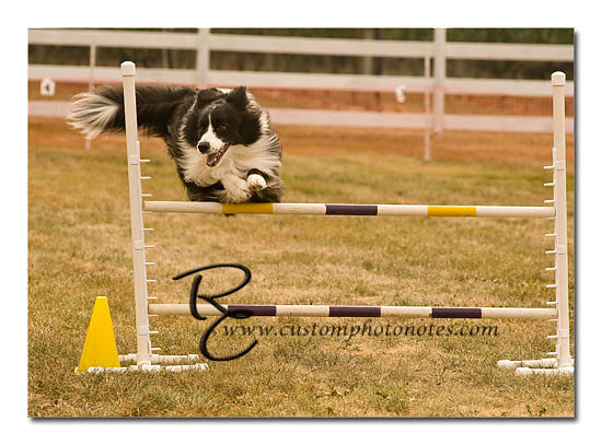 _RMC1449 copy