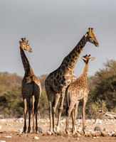 Namibia_061216_2211