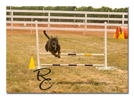 _RMC1425 copy