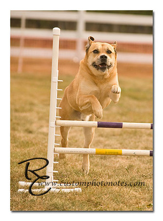 _RMC1555 copy