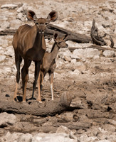 Namibia_061216_2159