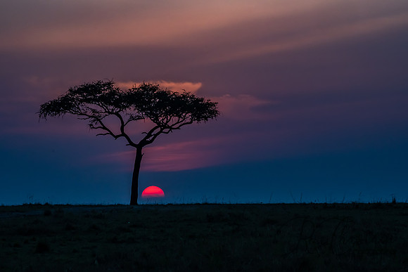 Kenya_Jul262019_5825