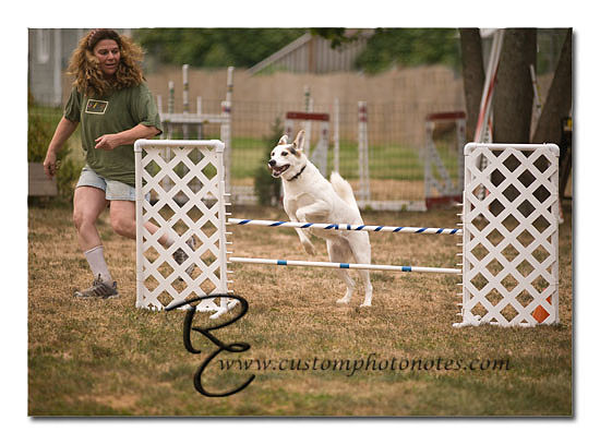 _RMC1856 copy