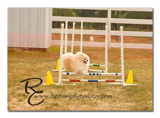 _RMC1501 copy