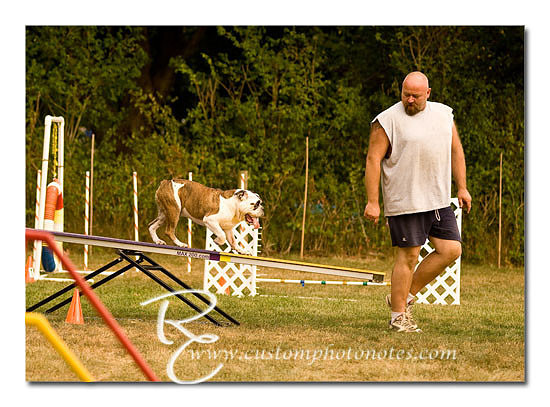 _RMC1642 copy