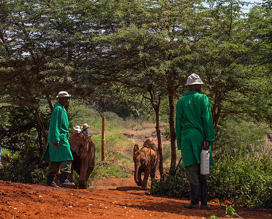 Kenya_Jul212019_3376