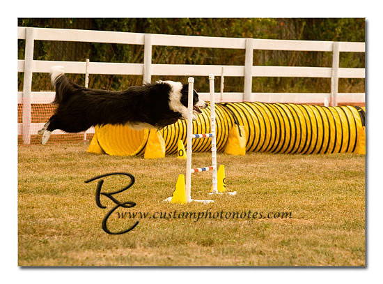 _RMC1475 copy