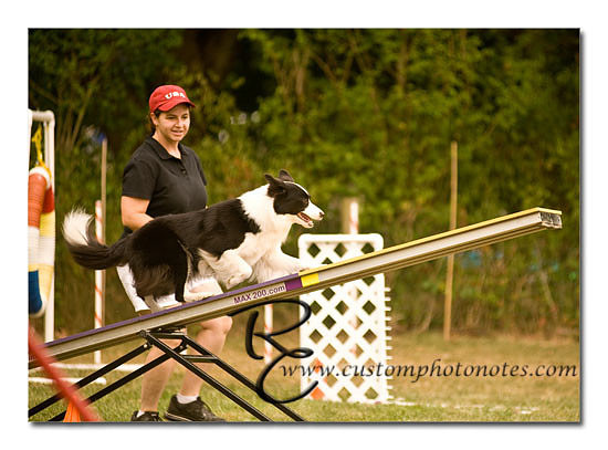 _RMC1726 copy