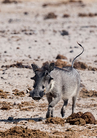 Namibia_060616_0564