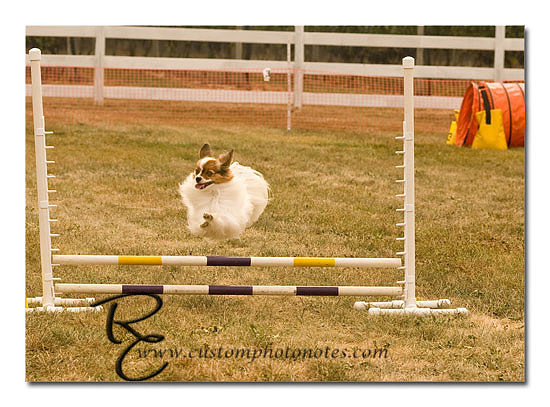 _RMC1396 copy
