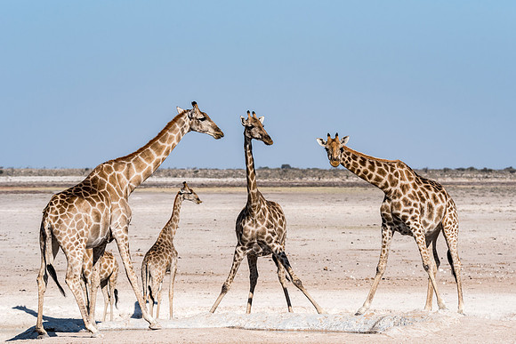 Namibia_060516_0924