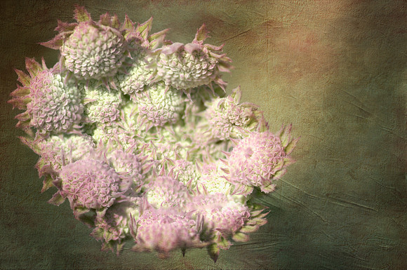 2014-07-23_14-48-50 M=B R=50 S=2