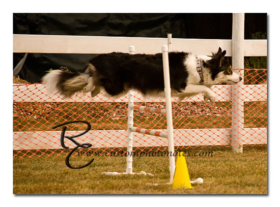 _RMC1556 copy