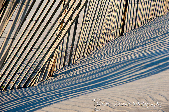 NickersonBeach_Jan292012_0038
