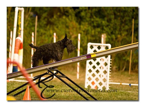 _RMC1631 copy