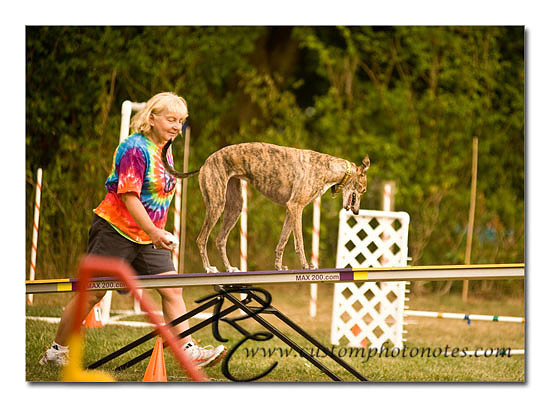 _RMC1687 copy