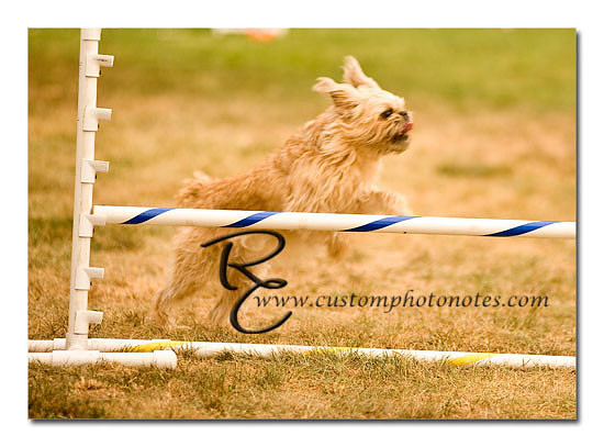 _RMC1663 copy
