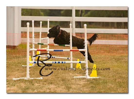_RMC1584 copy