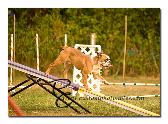 _RMC1654 copy