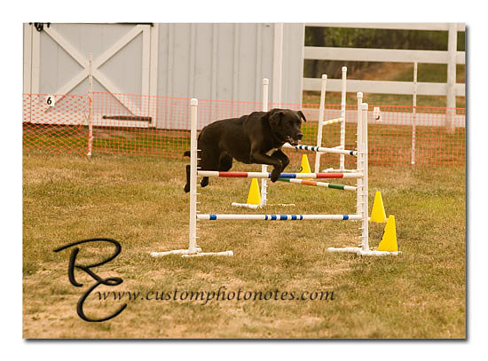 _RMC1609 copy