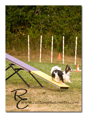 _RMC1815 copy