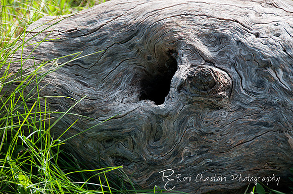 Ft-Tilden_Sep162011_0049