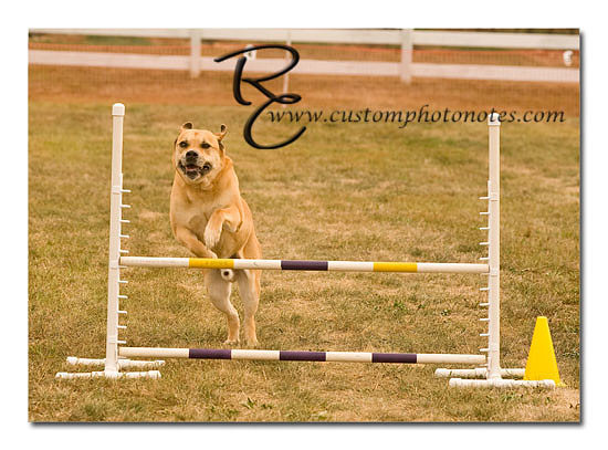 _RMC1606 copy