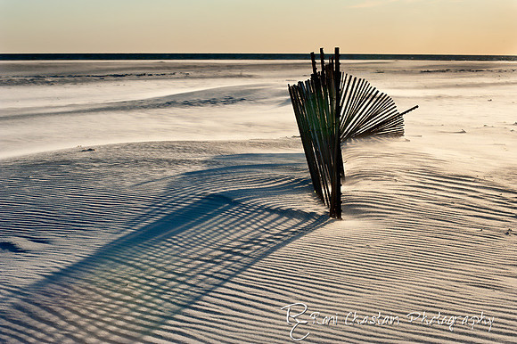 NickersonBeach_Jan292012_0027