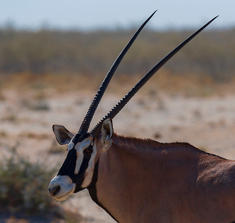 Namibia_060616_0507