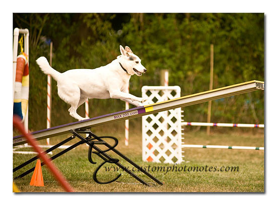 _RMC1753 copy